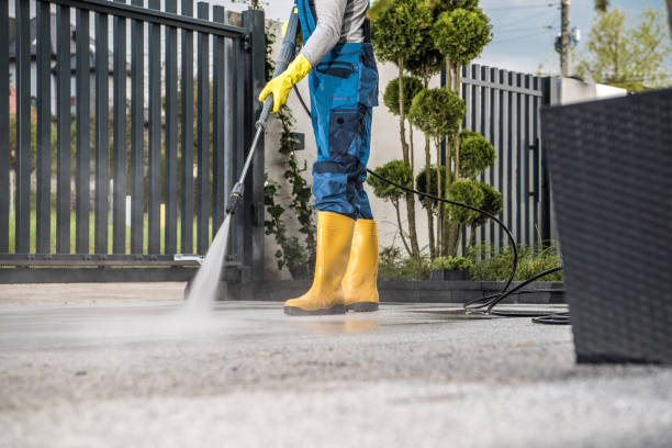 Boat and Dock Cleaning in Unicoi, TN